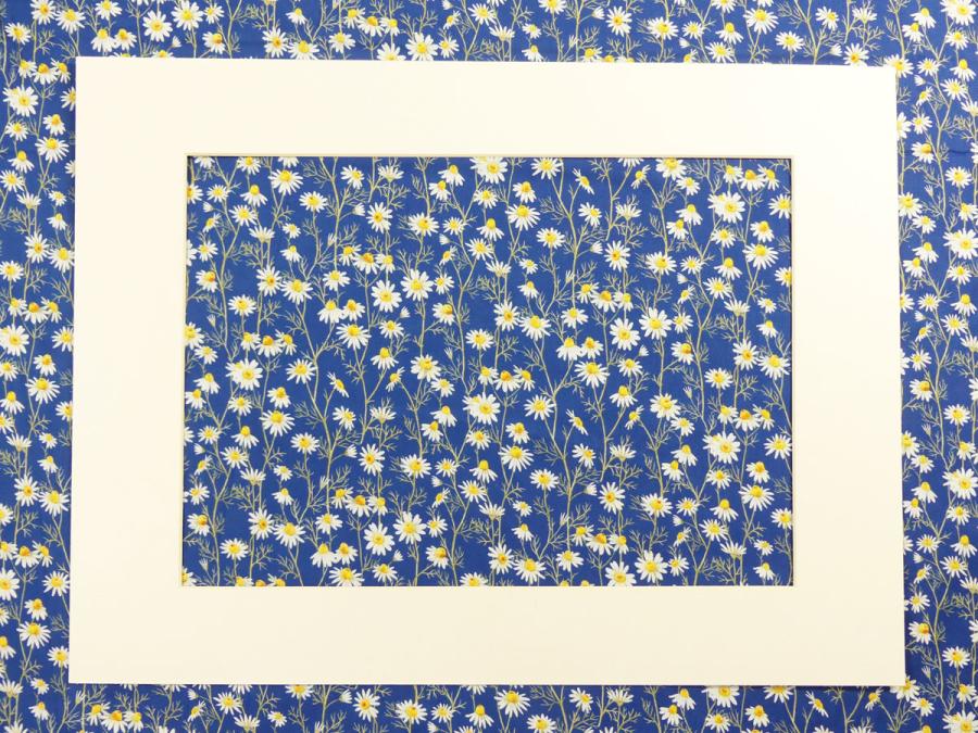 Hedgehog Hollow Blumen Gänseblümchen Daisies blau von In the Beginning